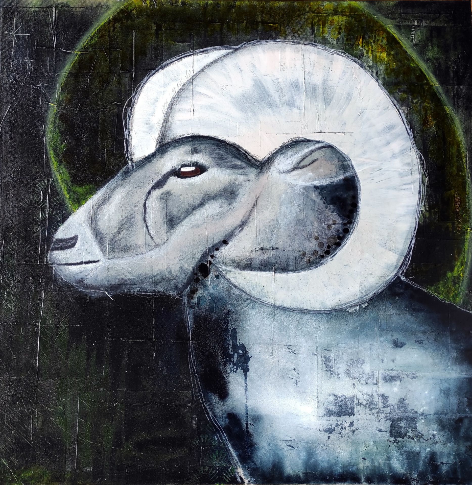 Wise Aries