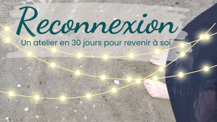 Intro Reconnexion Intro Reconnexion