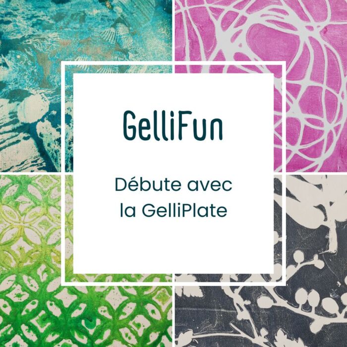 Vignette GelliFun Vignette GelliFun