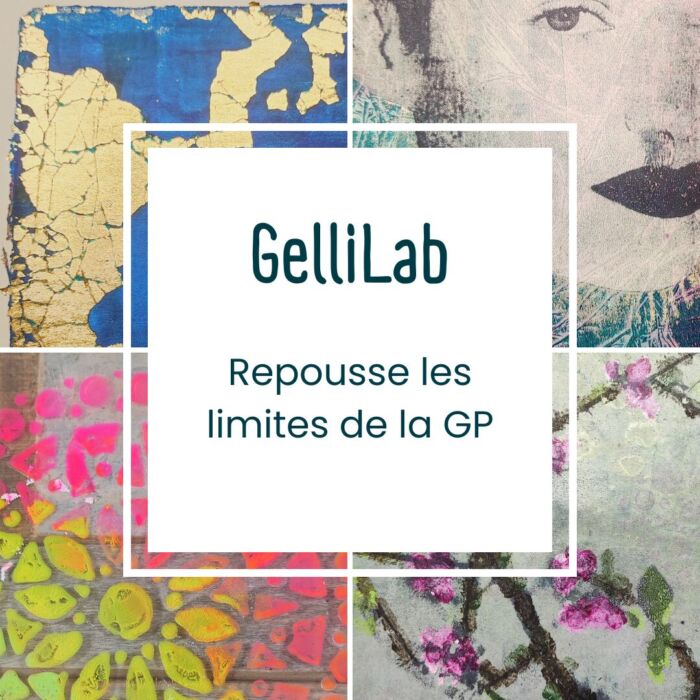 Vignette GelliLab Vignette GelliLab
